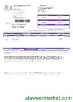 Belize Water Services Limited utility business bill, SCR
